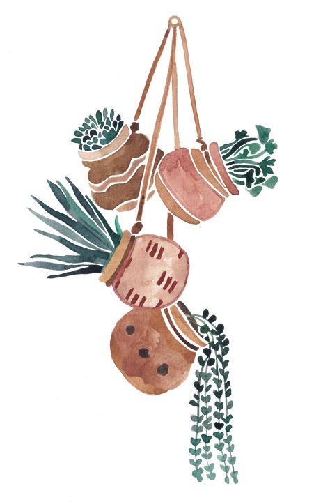 Hanging Plant Pot